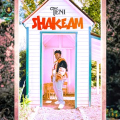 Teni - Shakeam