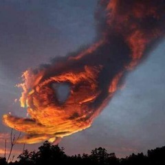 warned you (good morning cover)