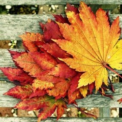 Deep Session Autumn 2018 (Mixed By DJ Nick BG)Spot