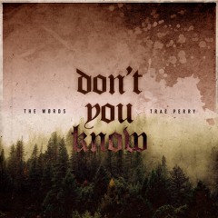 Don't You Know (ft. Trae Perry) (prod. Syndrome)