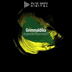 Grimmaldika - The Prestige (Original Mix Preview)