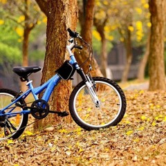 Tera hua song by atif aslam loveyaatri movie