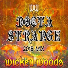LIVE @ WICKED WOODS 2018 - DOCTA STRANGE