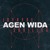 Artwork for JOYRYDE & SKRILLEX - AGEN WIDA