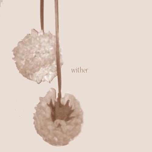 soap x jon voight - wither (prod. jon voight)
