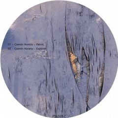 Cosmin Horatiu - Patrol (Original Mix) cut