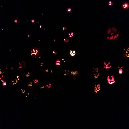 $ad - Drive In The Park [prod By Zephyr.]