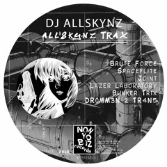 DJ ALLSKYNZ - ALLSKYNZ TRAX PREVIEWS (NYBD002)