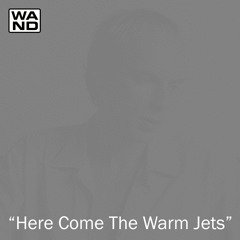 Wand- "Here Come The Warm Jets"