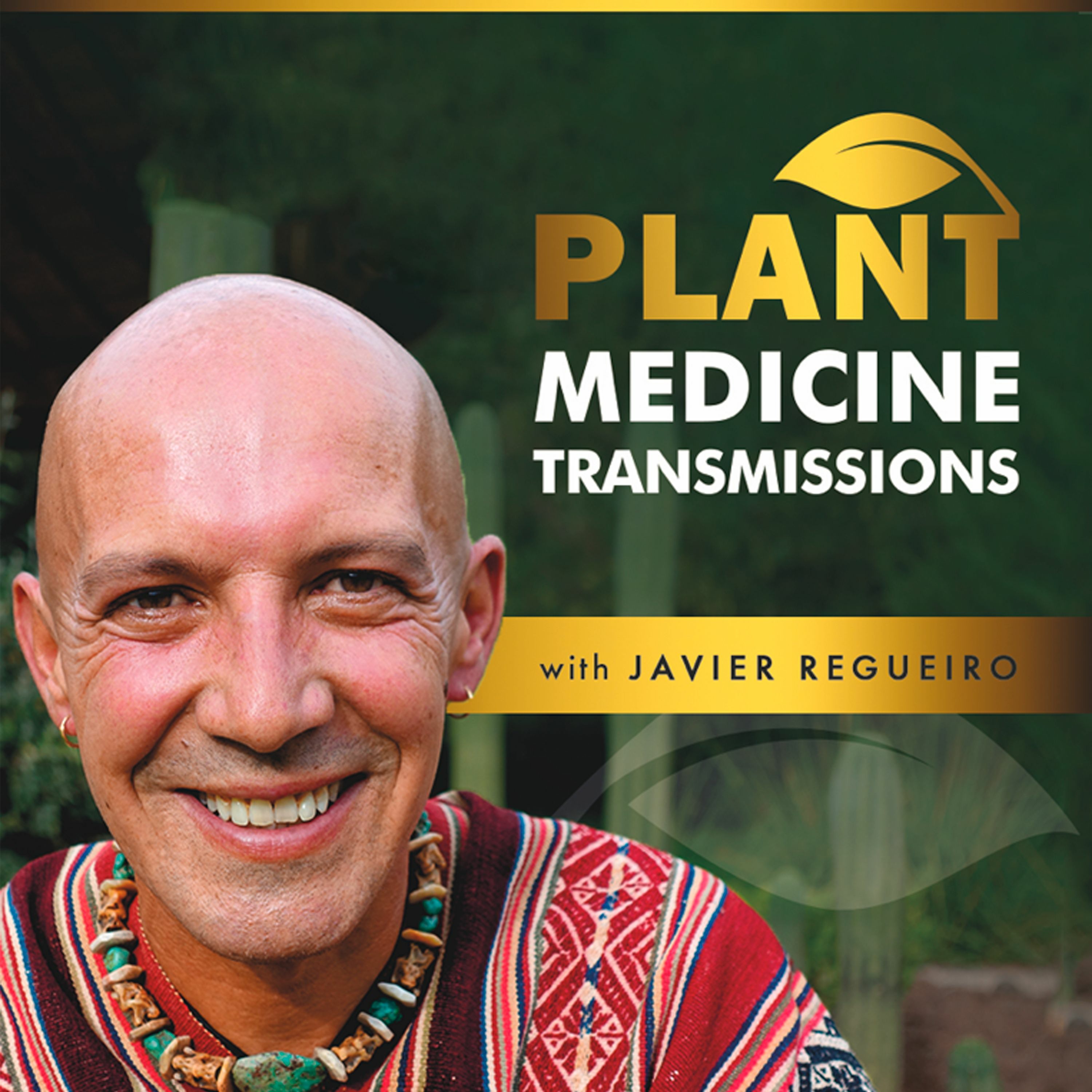 Plant Medicine Transmissions