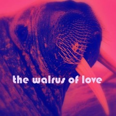 The Walrus Of Love