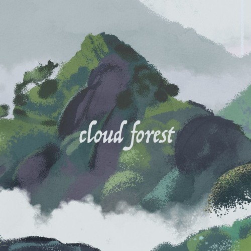 cloud forest