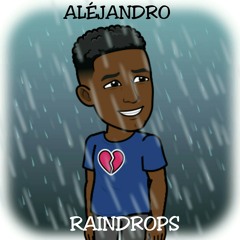 RAINDROPS 2.0