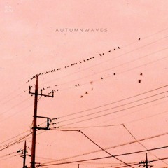 A U T U M N W A V E S