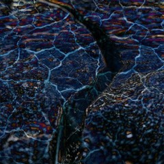 ASHEZ & Tingles - Shake