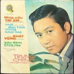 Nhip Cau Tri Am - Tuan Vu My Huyen