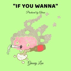 If You Wanna (Produced by Akron)
