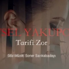 Aysel Yakupoğlu-Tarifi zor