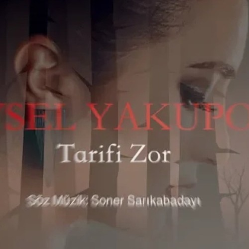 tarifi zor mp3 indir aysel yakupoğlu