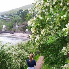 Take One - Lady Gaga #alwaysrememberusthisway