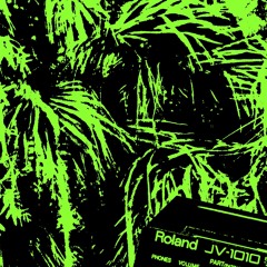 Gassa Gassa (Jungle Mix)