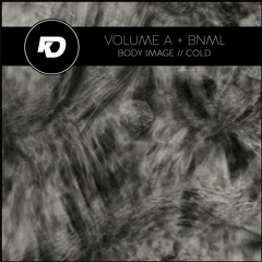 Volume A & Bnml - Body Image