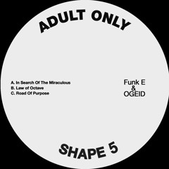 Premiere: A - Funk E & Ogeid - In Search Of The Miraculous [AOS05]