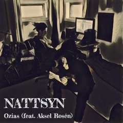 Nattsyn (feat. Aksel Rosén)