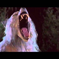 Zombie Wolves