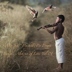 This 9 Hours Mix Set Psychill / Psy Proggy Trance - Alchemy of Love-Vol.01, 19 years as a Dj ***