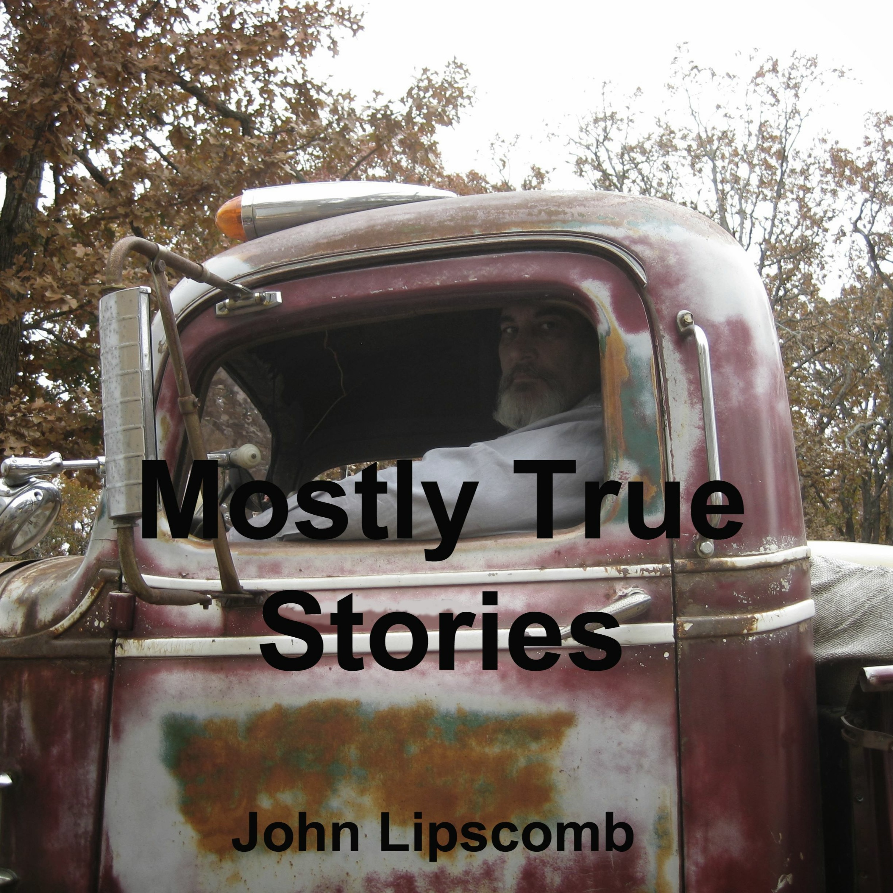 Mostly True Stories Podcast