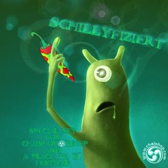 Psy Schilly - Schillyfizierung (Special Set for "Chaishop.com" and "A Place To Be Festival")