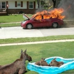 WestSide Gunn & MF DOOM (WestSideDoom)- Gorilla Monsoon (DJ Snoop Dogg Remix)