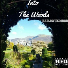Hadlow Escobar ft D!rty Harry - Bangers and Mash