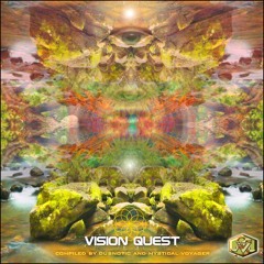 Particle Horizon [Visionary Shamanics]
