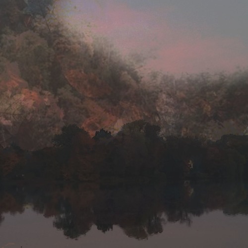 Untitled Autumn Sequence