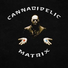 Cannabidelic - Matrix