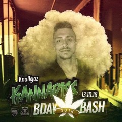 KnallgaZ_live @ Schlachthaus Wolfsburg KannadisS BDAY SetCut