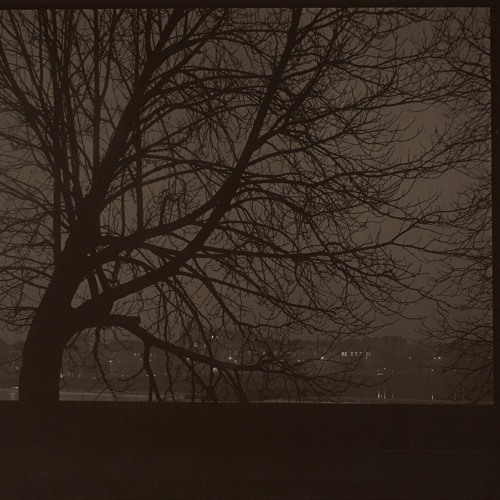 the grey moss [prod bang]