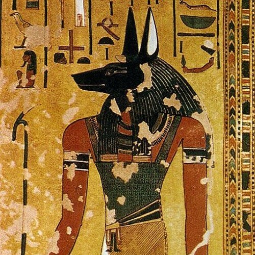 Anubis Jackal