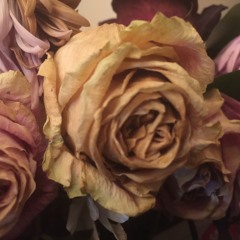 Dying Flowers (For The Living World)