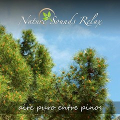 Episodio 03 - Aire puro entre pinos