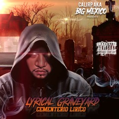 Volar ( Dmx Let me Fly Remix )