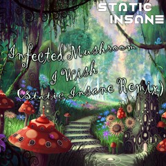 I.M. - I Wish (Static Insane Remix)