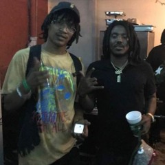 street cat freestyle