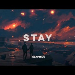 Post Malone - Stay (Remix)