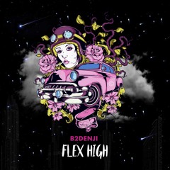 B2DENJI - FLEXHIGHH
