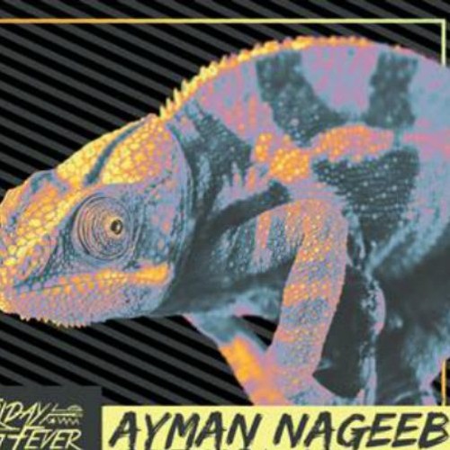 Ayman Nageeb @ CairoJazz Club (12-10-2018)