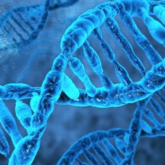 My DNA