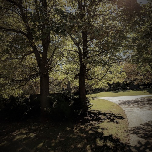 Quark particle image